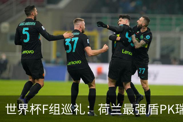 世界杯F组巡礼：荷兰最强盾PK瑞典犀利刀 日本短板明显